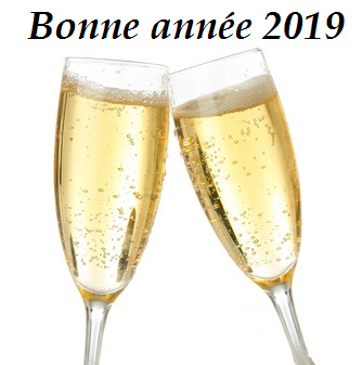 Bonne année 2019